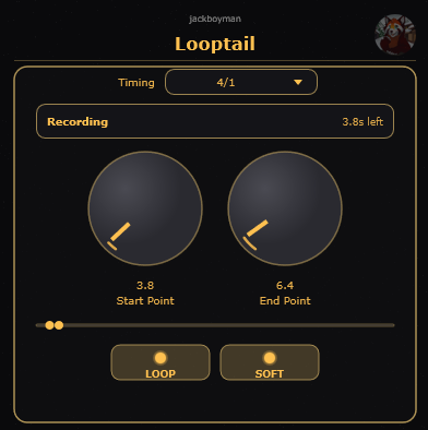 Looptail VST3 tempo-synced looper plugin screenshot